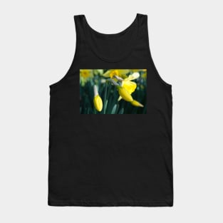 Daffodils Flower Buds unfurling Tank Top